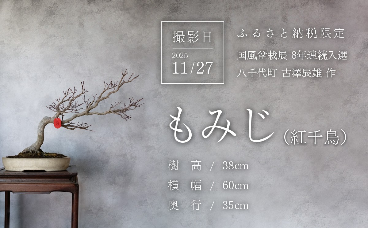 3枚目の写真は、秋の葉狩りと剪定後の盆栽を撮影。
（撮影日）2025年11月27日