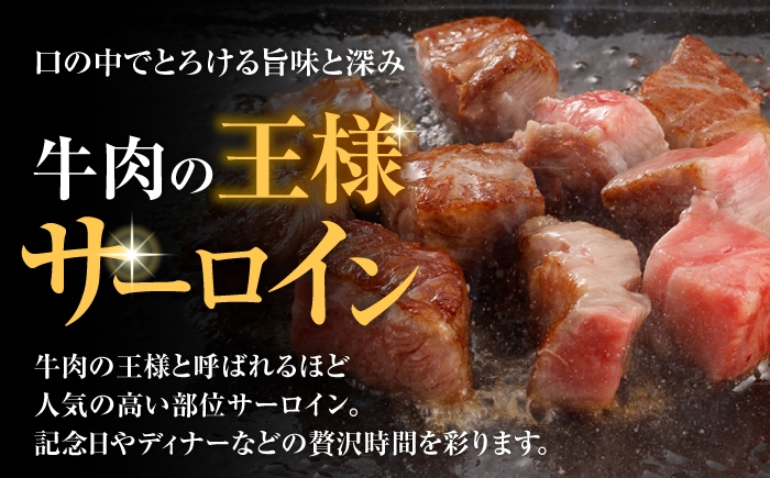 希少 a5 長崎和牛 牛肉 ぎゅうにく 和牛 国産牛 国産 肉 にく 牛 サーロイン さーろいん サーロインステーキ ステーキ