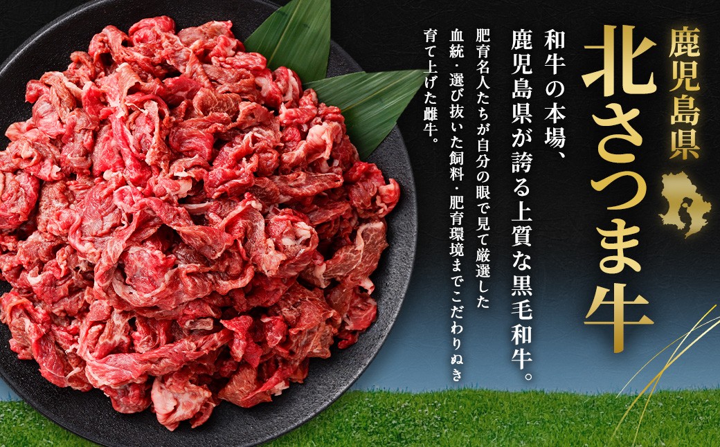 北さつま牛 切り落とし 合計１kg（200g×5パック）