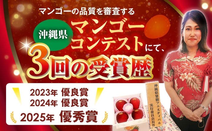 沖縄県産 完熟マンゴー 贈答用 2kg (3〜5玉) マンゴー 沖縄 果物 フルーツ ギフト まんごー 2kg 