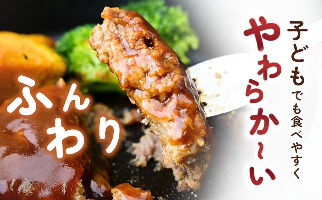 ハンバーグ はんばーぐ デミグラスソース
