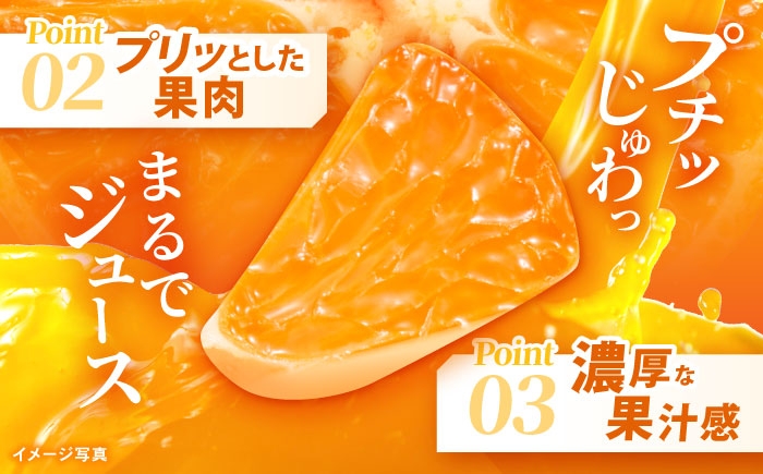 みかん ミカン 蜜柑 mikan 5kg オレンジ おれんじ 柑橘 かんきつ フルーツ ふるーつ 果物 くだもの みかんジュース