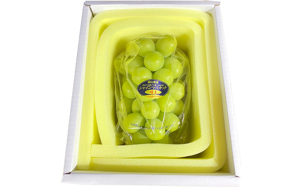 シャインマスカット 晴王 1房 約600g