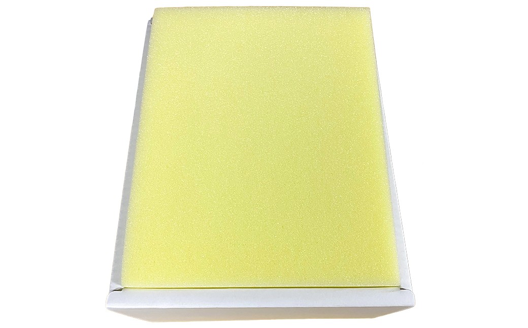 晴王 シャインマスカット晴王 2房 約1.2kg