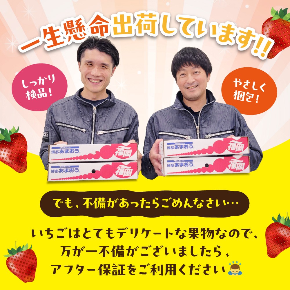 【定期便／3ヶ月連続お届け】大人気の博多あまおう 280g×4パック 計3回 総量3.36kg 3ヶ月定期便 福岡県産いちご