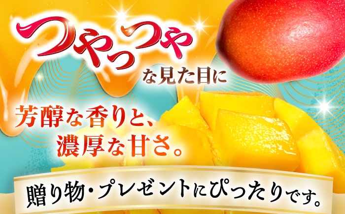 沖縄県産 完熟マンゴー 贈答用 2kg (3〜5玉) マンゴー 沖縄 果物 フルーツ ギフト まんごー 2kg 