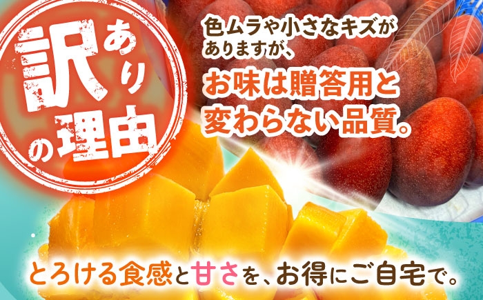 沖縄県産 完熟マンゴー 訳アリ 2kg (3～5玉) マンゴー 沖縄 果物 フルーツ ギフト 家庭用 訳あり まんごー