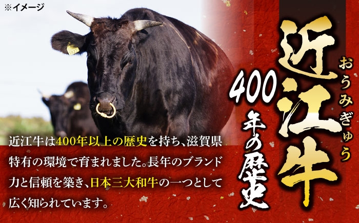 すき焼き肉 すき焼きセット 和牛 すき焼き 牛肉 和牛 焼肉 しゃぶしゃぶ 焼肉 近江牛 国産 人気 ギフト おすすめ 長浜市