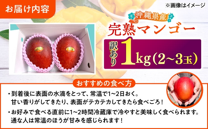 沖縄県産 完熟マンゴー 訳アリ 1kg (2〜3玉) マンゴー 沖縄 果物 フルーツ ギフト まんごー 訳あり 家庭用 