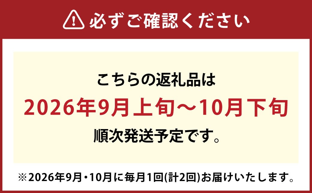赤秀ぶどう プレミアム シャインマスカット 晴王 2房 約1.2kg