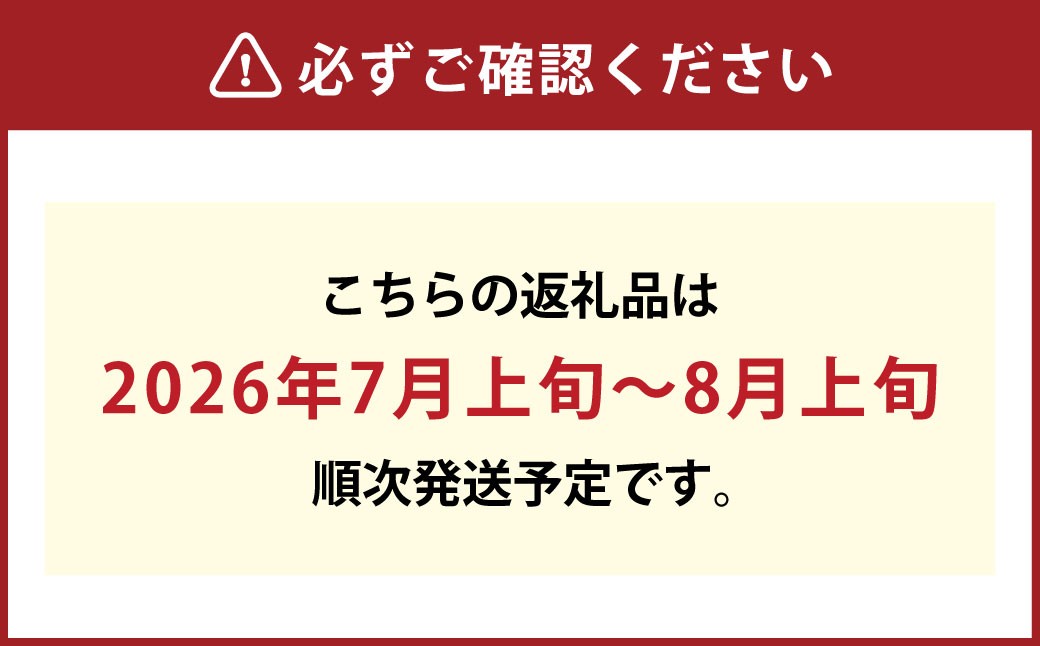 【お中元対象商品】晴王 シャインマスカット晴王 2房 約1.4kg