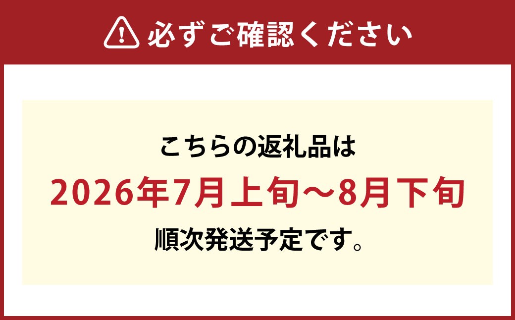 晴王 シャインマスカット晴王 2房 約1.4kg