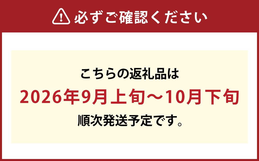 プレミアムシャインマスカット晴王 船穂Ver 赤秀ぶどう 2房 約1.4kg
