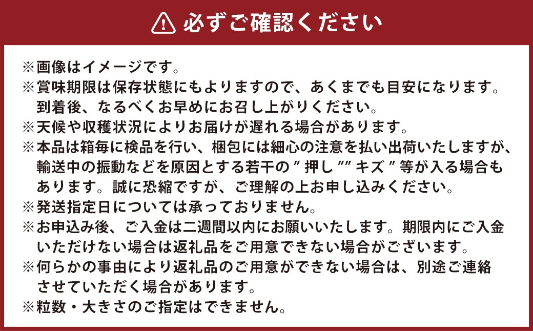 晴王 シャインマスカット晴王 2房 約1.4kg