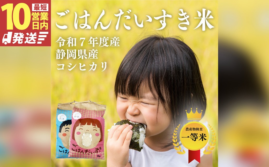 静岡県産コシヒカリ 精米 10kg （5kg×2袋） 