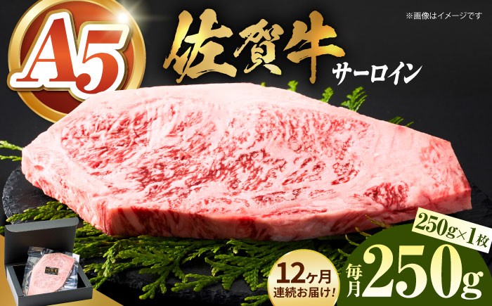 A5ランク 佐賀牛 牛肉 サーロイン ステーキ A5 佐賀牛 a5 1枚 和牛 黒毛和牛 小分け 冷凍 定期 12回 12ヶ月