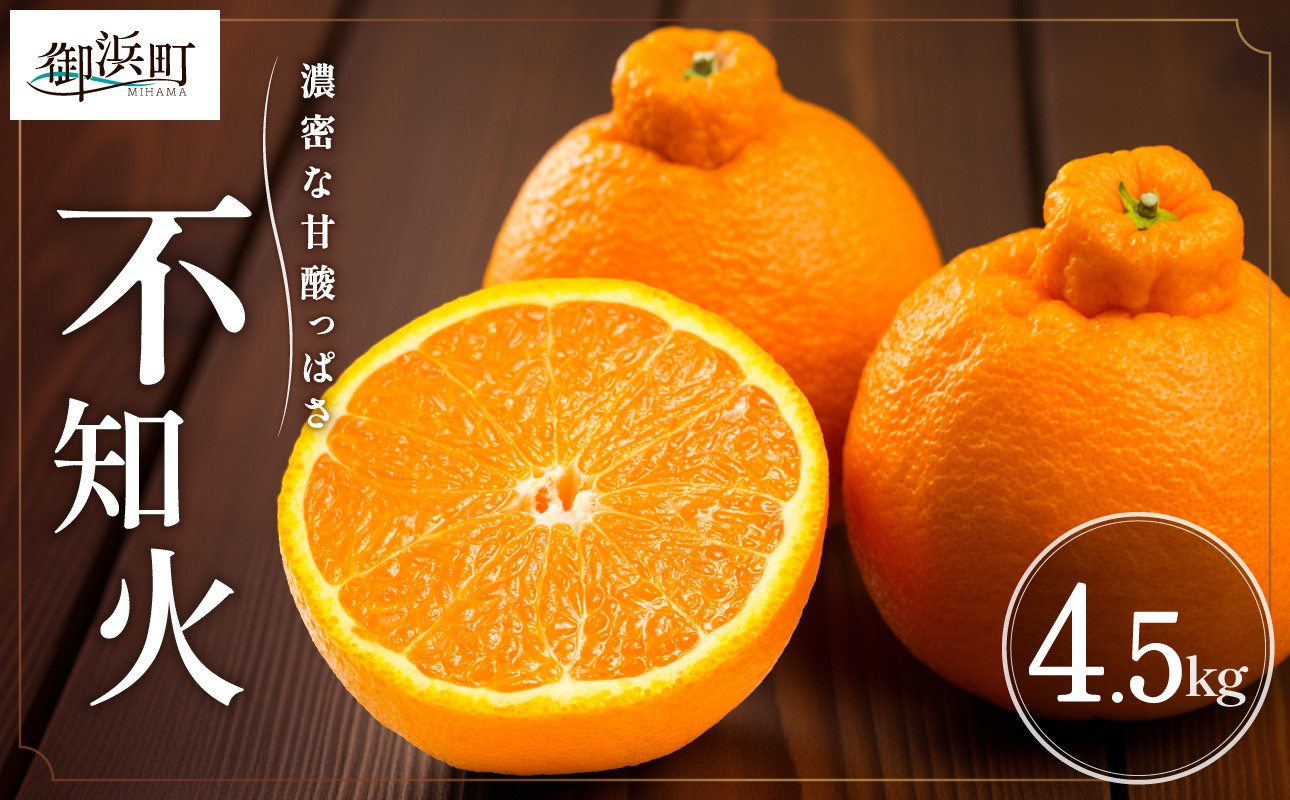 【2026年発送 先行予約品】