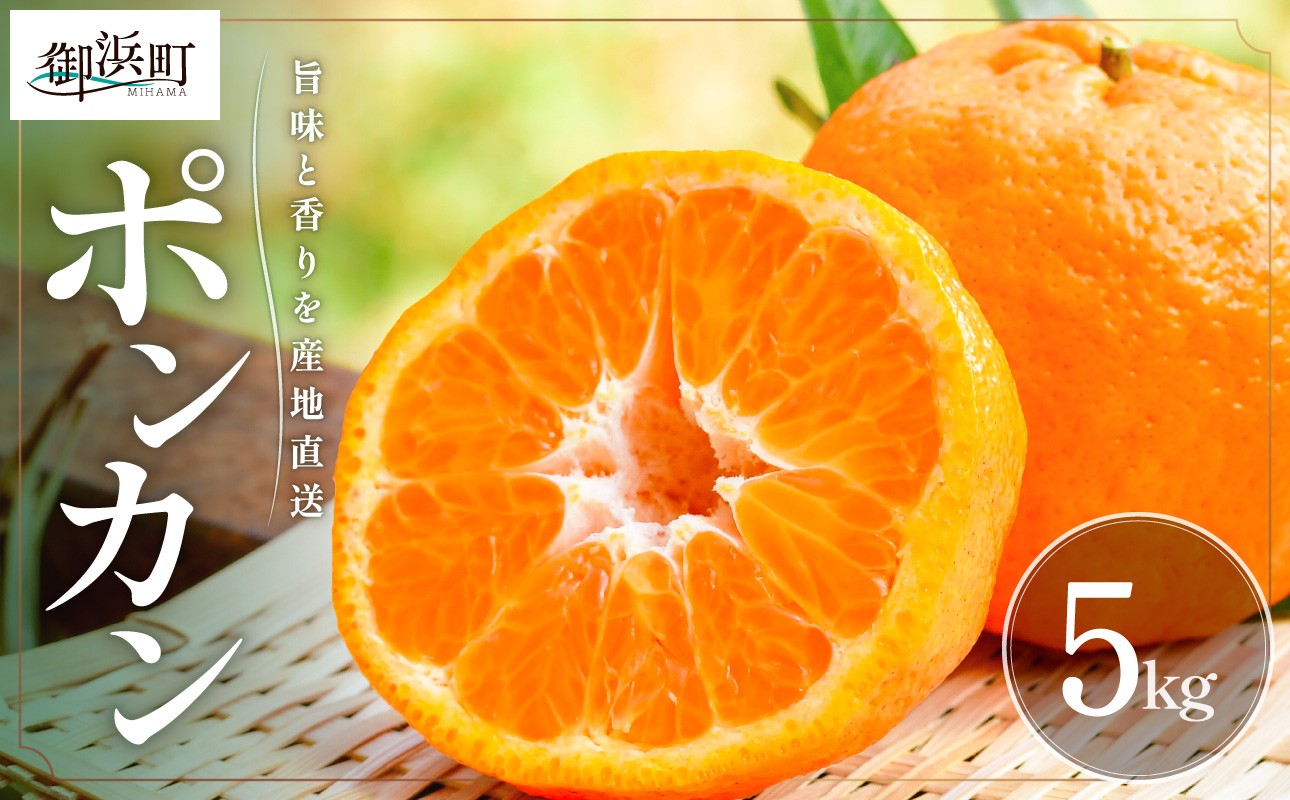【2026年発送 先行予約品】