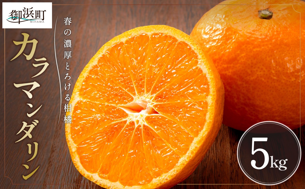 【2026年発送 先行予約品】