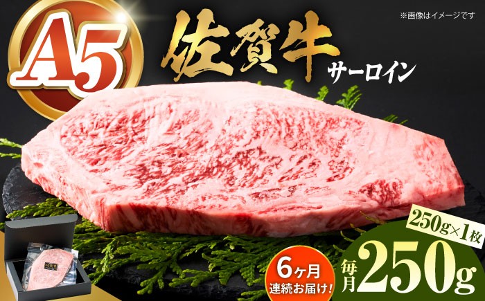 A5ランク 佐賀牛 牛肉 サーロイン ステーキ A5 佐賀牛 a5 1枚 和牛 黒毛和牛 小分け 冷凍 定期 6回 6ヶ月