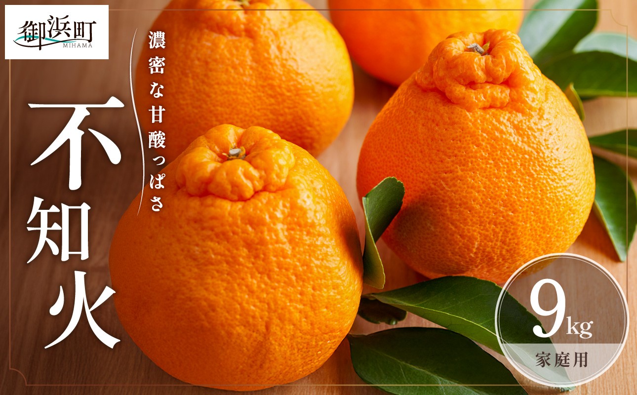 【2026年発送 先行予約品】