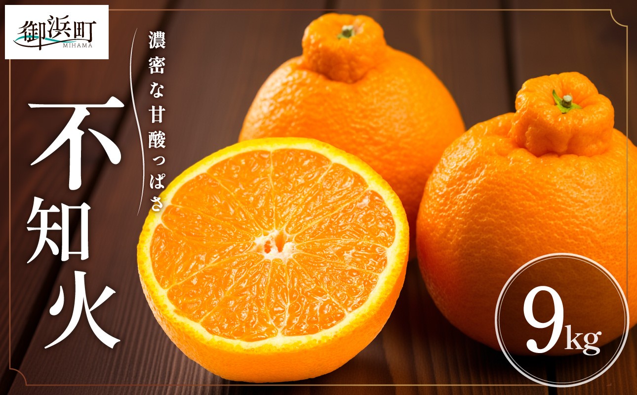 【2026年発送 先行予約品】