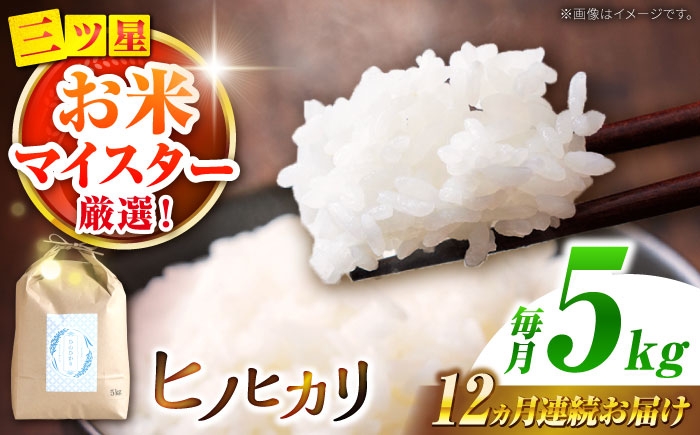 精米 白米 お米 ライス ごはん 米 こめ ご飯 国産 お取り寄せ 