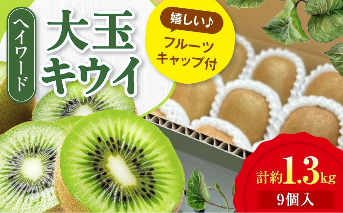 キウイ 訳あり キウイフルーツ グリーンキウイ  キュウイ キウイフルーツ ヘイワード 果物  ギフト フルーツ