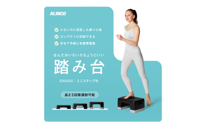 健康 運動 ダイエット 有酸素運動 昇降運動 トレーニング ストレッチ 筋トレ ダイエット ステップ台 踏み台 室内 下半身 足
