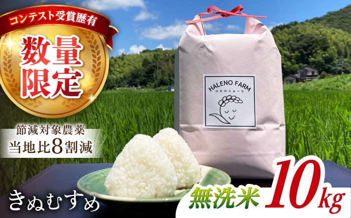 米 おこめ ごはん ご飯  食卓 おにぎり 白米 お米 ギフト 新米 産地直送米 ブランド米 きぬむすめ