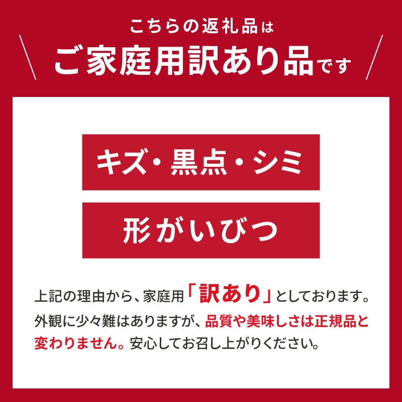 【2026年発送 先行予約品】