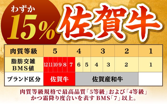 A5ランク 佐賀牛 牛肉 サーロイン ステーキ A5 佐賀牛 a5 1枚 和牛 黒毛和牛 小分け 冷凍 定期 12回 12ヶ月