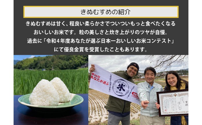 米 おこめ ごはん ご飯  食卓 おにぎり 白米 お米 ギフト 新米 産地直送米 ブランド米 きぬむすめ