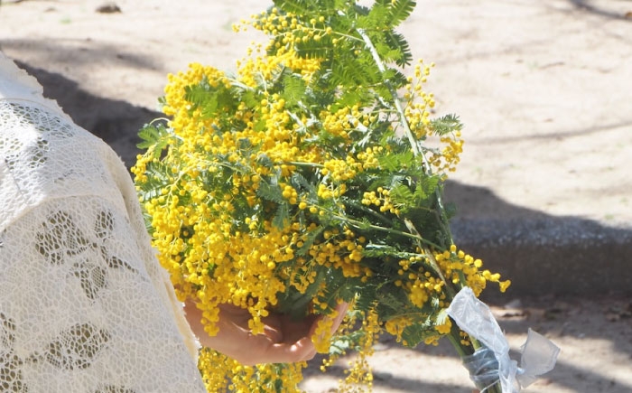 生花 フラワー インテリア 花 お花 花束 ギフト プレゼント ガーデニング
