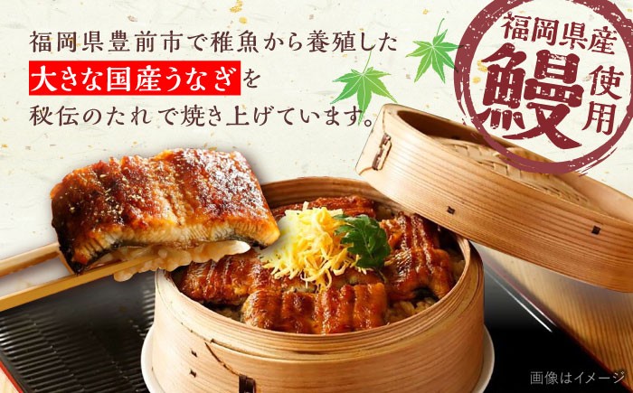 うなぎ 鰻 国産 福岡県産 蒲焼 かば焼き 土用 丑の日 ギフト 贈答