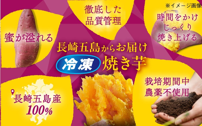 五島列島 さつまいも サツマイモ 薩摩芋 焼き芋 焼芋 食べ比べ 長崎県