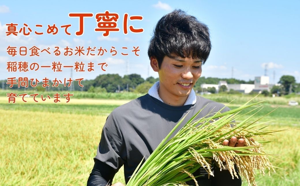 こしひかり コシヒカリ お米 米 こめ 白米 精米 