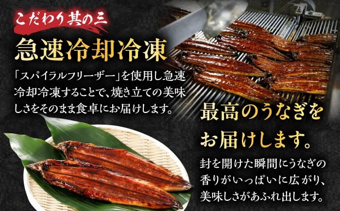 うなぎ 鰻 国産 福岡県産 蒲焼 かば焼き 土用 丑の日 ギフト 贈答