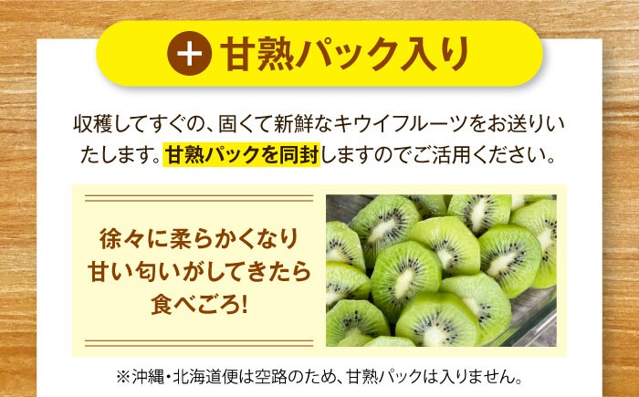 キウイ キウイフルーツ グリーンキウイ キュウイ キウイフルーツ キウイフルーツ ヘイワード 果物  ギフト フルーツ