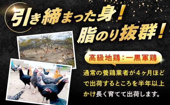 鶏肉 精肉 鳥肉 とり肉 とりにく チキン 鳥 もも むね モモ ムネ 若鶏