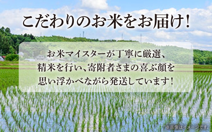 精米 白米 お米 ライス ごはん 米 こめ ご飯 国産 お取り寄せ 