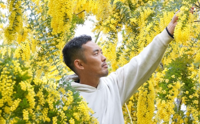 生花 フラワー インテリア 花 お花 花束 ギフト プレゼント ガーデニング