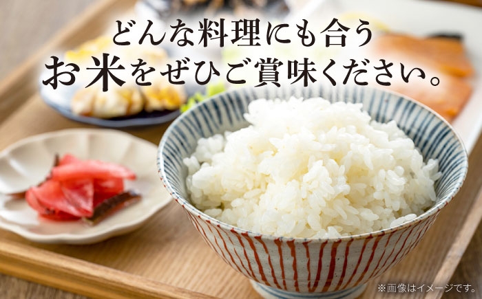 精米 白米 お米 ライス ごはん 米 こめ ご飯 国産 お取り寄せ 
