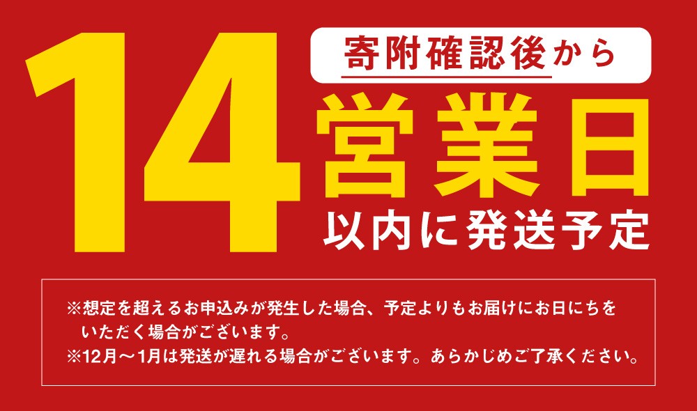 ゆったり広々！ 2つの感触 『ウレタン屋さんが作る快眠枕』