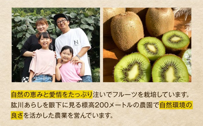 キウイ キウイフルーツ グリーンキウイ キュウイ キウイフルーツ キウイフルーツ ヘイワード 果物  ギフト フルーツ