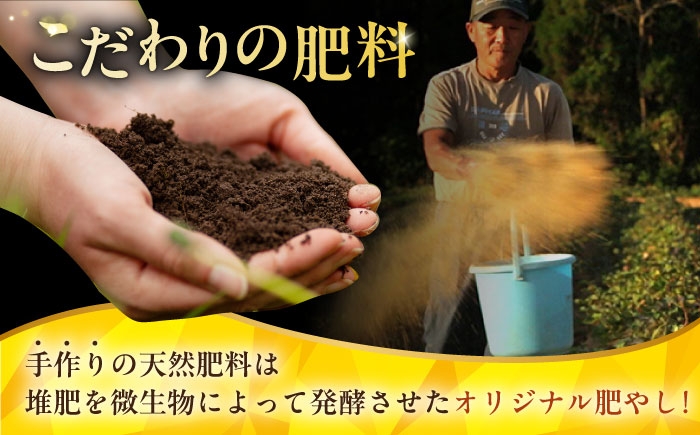 五島列島 さつまいも サツマイモ 薩摩芋 焼き芋 焼芋 食べ比べ 長崎県