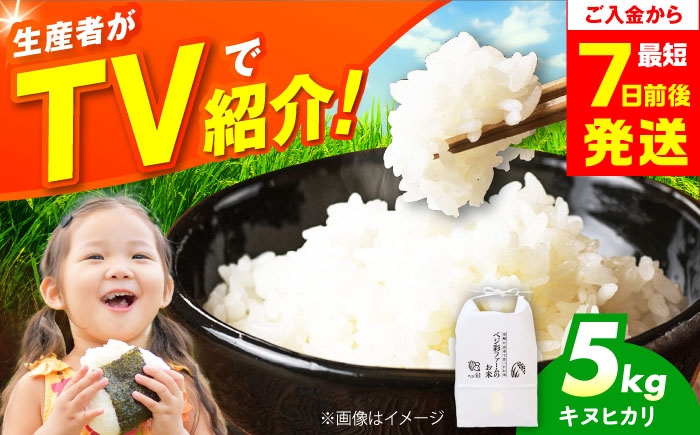 米 令和7年産 キヌヒカリ きぬひかり お米 白米 コメ おこめ 10kg 5kg 人気 おすすめ 産地直送 国産 新鮮