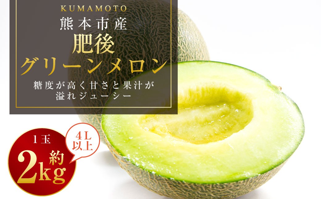 【2026年4月下旬発送開始】熊本市産 肥後グリーンメロン1玉４L以上 約2kg