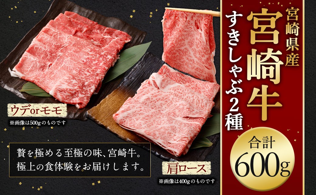 宮崎牛すきしゃぶ2種（赤身霜降り） 計600g