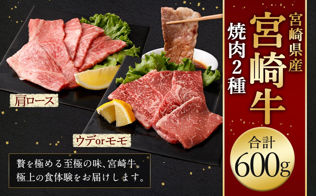 宮崎牛焼肉2種（赤身霜降り） 計600g